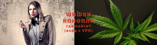 spice Лиски
