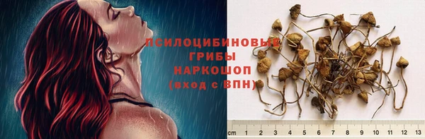 spice Лиски