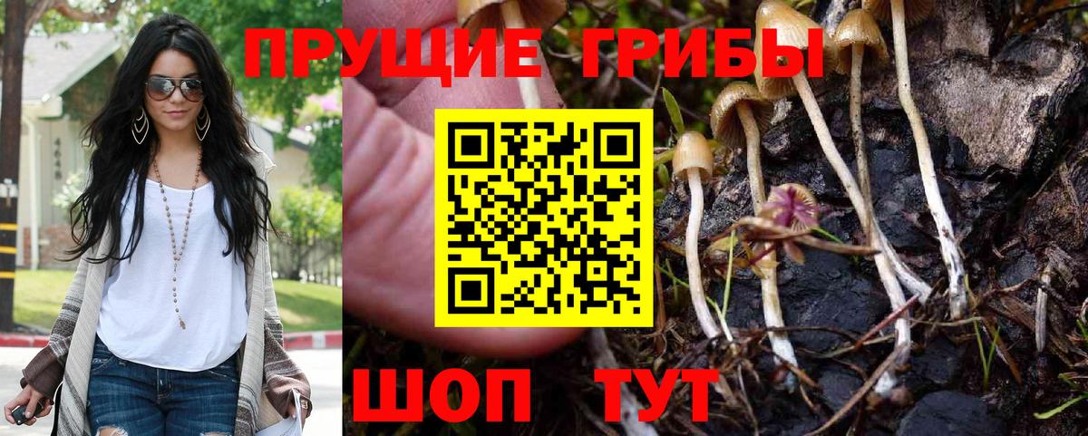 Галлюциногенные грибы GOLDEN TEACHER Туапсе