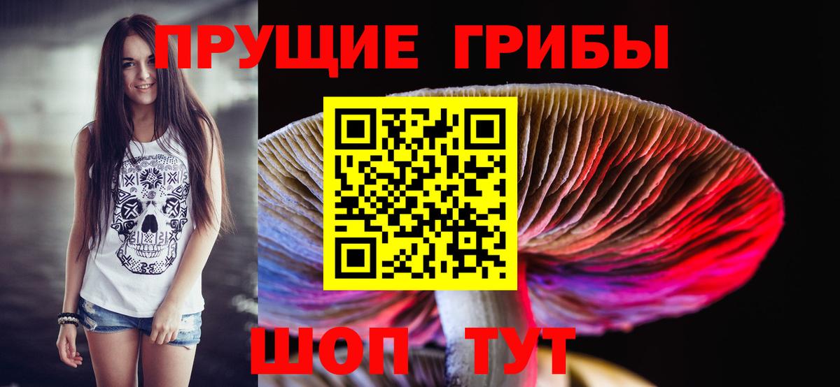 Галлюциногенные грибы прущие грибы  Вход с VPN  Туапсе 